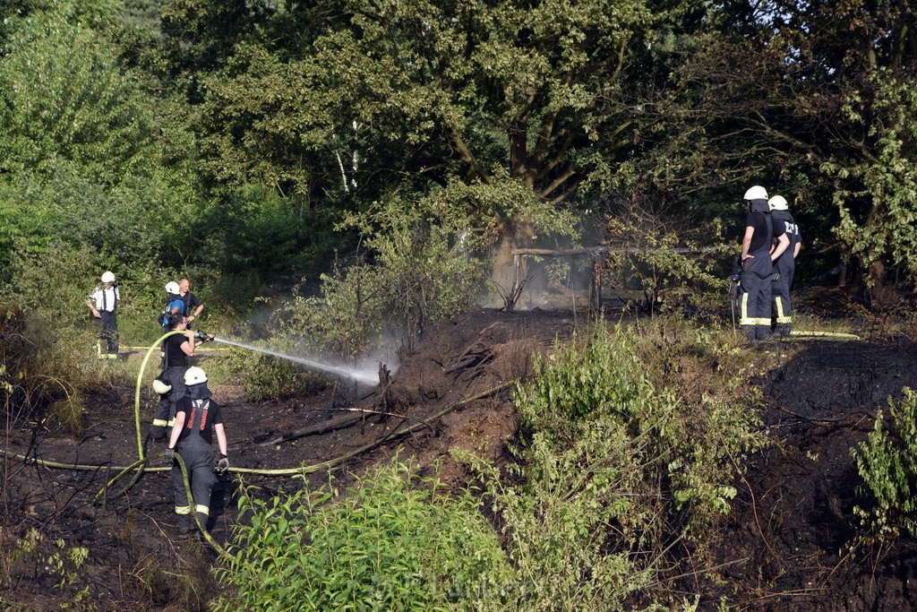 Waldbrand Koeln Hoehenhaus Hoehenfelder Mauspfad P131.JPG - Miklos Laubert